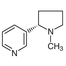 L-nicotina química científica terma el 99% líquido aceitoso Cas 54-11-5 de los intermedios