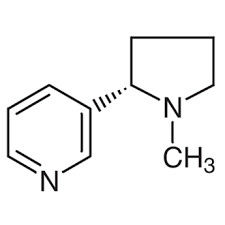 L-nicotina química científica terma el 99% líquido aceitoso Cas 54-11-5 de los intermedios